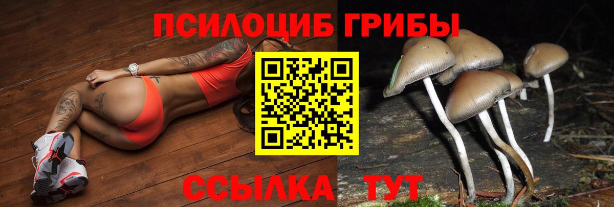 Лесосибирск  Псилоцибиновые грибы MAGIC MUSHROOMS  Вход с VPN 
