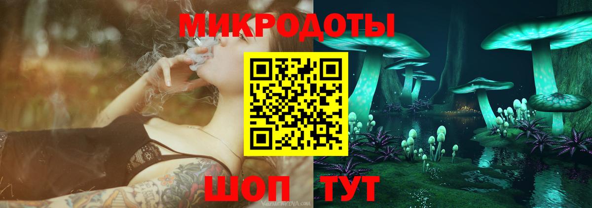 Галлюциногенные грибы Psilocybine cubensis Лесосибирск